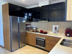 Holland Link (D10), Terrace #461061001